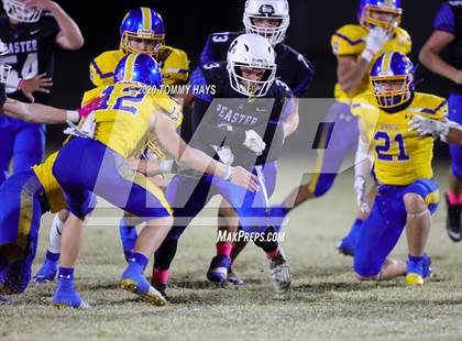 Thumbnail 1 in Brock @ Peaster photogallery.