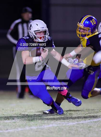 Thumbnail 1 in Brock @ Peaster photogallery.