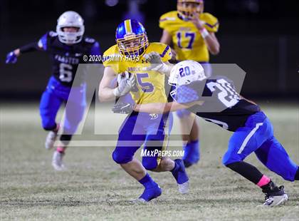 Thumbnail 1 in Brock @ Peaster photogallery.