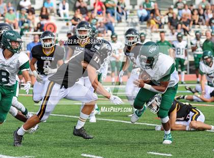 Thumbnail 1 in William Floyd @ Sachem North photogallery.