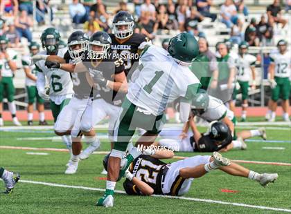 Thumbnail 3 in William Floyd @ Sachem North photogallery.