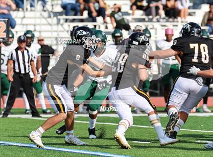 Thumbnail 1 in William Floyd @ Sachem North photogallery.