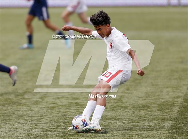 null - Photo 01