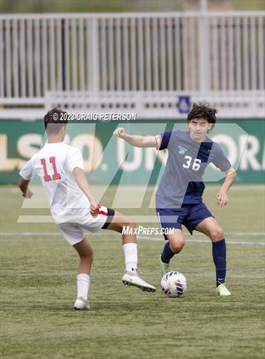 null - Photo 01