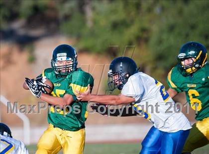 Thumbnail 1 in Lincoln @ Placer photogallery.
