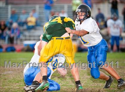 Thumbnail 3 in Lincoln @ Placer photogallery.