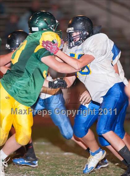 Thumbnail 3 in Lincoln @ Placer photogallery.
