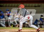 Photo from the gallery "Pine Forest @ Crestview"