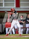 Photo from the gallery "Pine Forest @ Crestview"