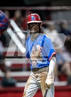 Photo from the gallery "Pine Forest @ Crestview"