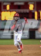 Photo from the gallery "Pine Forest @ Crestview"