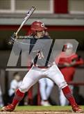 Photo from the gallery "Pine Forest @ Crestview"