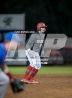 Photo from the gallery "Pine Forest @ Crestview"
