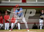 Photo from the gallery "Pine Forest @ Crestview"