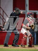 Photo from the gallery "Pine Forest @ Crestview"