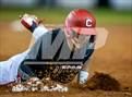 Photo from the gallery "Pine Forest @ Crestview"