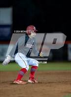 Photo from the gallery "Pine Forest @ Crestview"