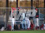 Photo from the gallery "Pine Forest @ Crestview"