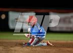 Photo from the gallery "Pine Forest @ Crestview"