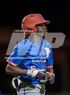 Photo from the gallery "Pine Forest @ Crestview"