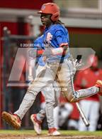 Photo from the gallery "Pine Forest @ Crestview"