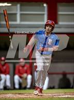 Photo from the gallery "Pine Forest @ Crestview"
