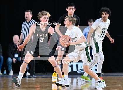 Thumbnail 1 in Mt. Spokane vs. Auburn (WIAA 3A 3rd Place) photogallery.
