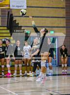 Photo from the gallery "Vintage @ Windsor"