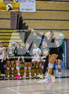 Photo from the gallery "Vintage @ Windsor"