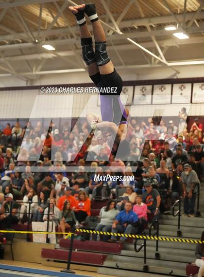 Thumbnail 2 in THSGCA State Meet (Floor Exercise- Optional) photogallery.