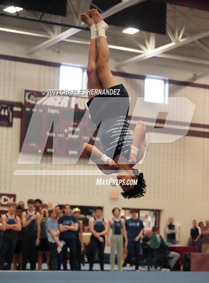 Thumbnail 3 in THSGCA State Meet (Floor Exercise- Optional) photogallery.