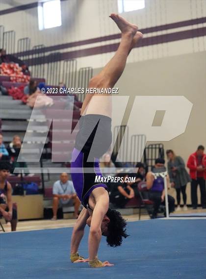 Thumbnail 2 in THSGCA State Meet (Floor Exercise- Optional) photogallery.
