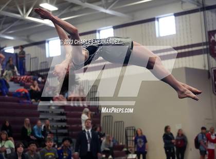 Thumbnail 3 in THSGCA State Meet (Floor Exercise- Optional) photogallery.