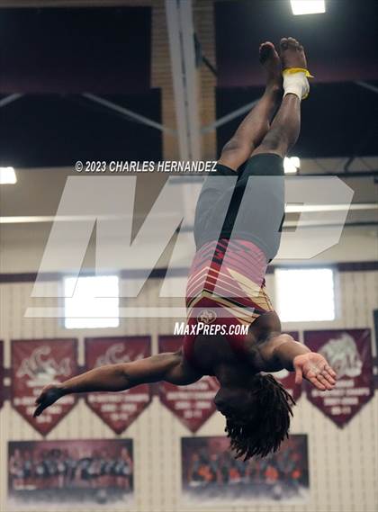 Thumbnail 1 in THSGCA State Meet (Floor Exercise- Optional) photogallery.