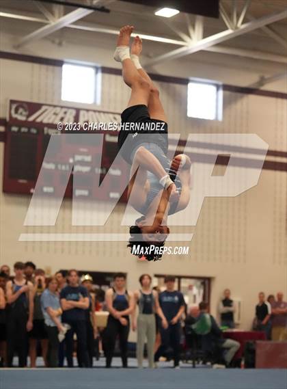 Thumbnail 1 in THSGCA State Meet (Floor Exercise- Optional) photogallery.
