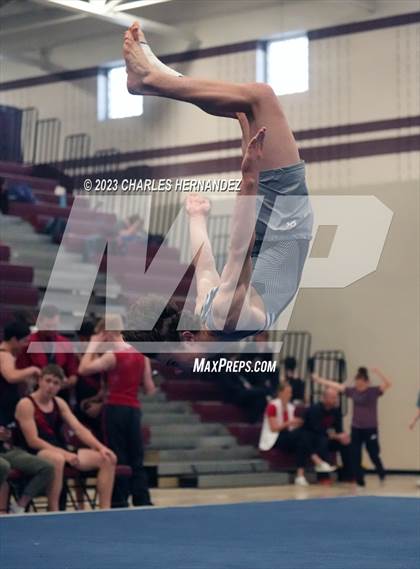Thumbnail 1 in THSGCA State Meet (Floor Exercise- Optional) photogallery.