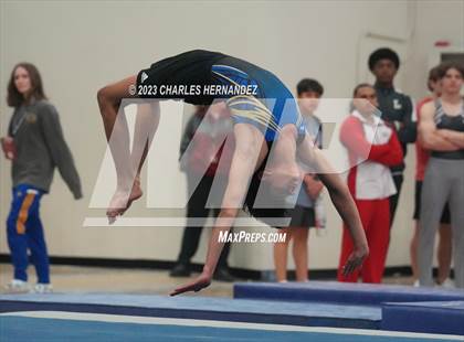 Thumbnail 1 in THSGCA State Meet (Floor Exercise- Optional) photogallery.