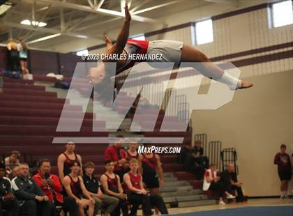 Thumbnail 1 in THSGCA State Meet (Floor Exercise- Optional) photogallery.
