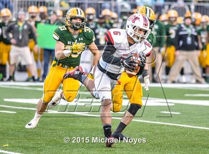 Thumbnail 2 in Wayne vs. St. Edward (OHSAA Division 1 Final)  photogallery.