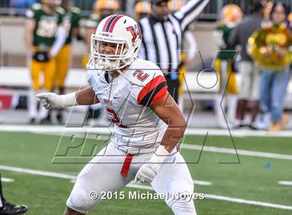 Thumbnail 3 in Wayne vs. St. Edward (OHSAA Division 1 Final)  photogallery.