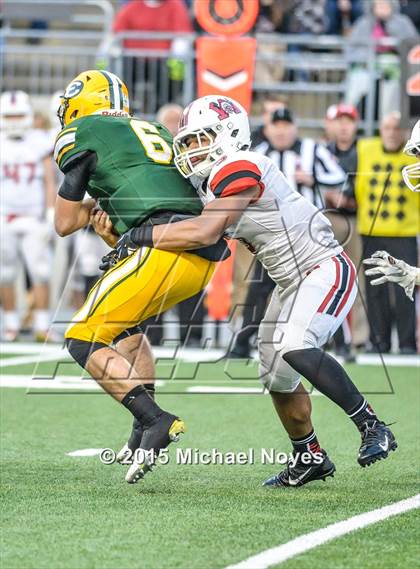 Thumbnail 2 in Wayne vs. St. Edward (OHSAA Division 1 Final)  photogallery.