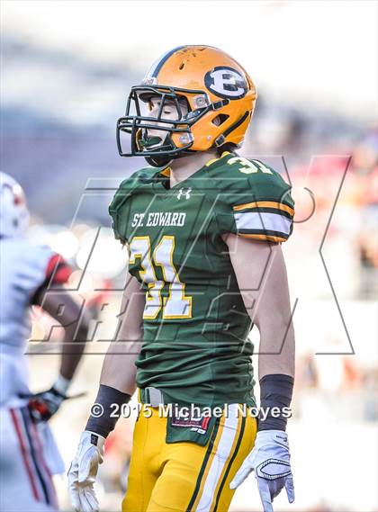 Thumbnail 3 in Wayne vs. St. Edward (OHSAA Division 1 Final)  photogallery.