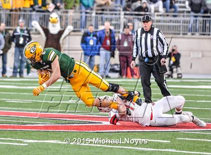 Thumbnail 1 in Wayne vs. St. Edward (OHSAA Division 1 Final)  photogallery.