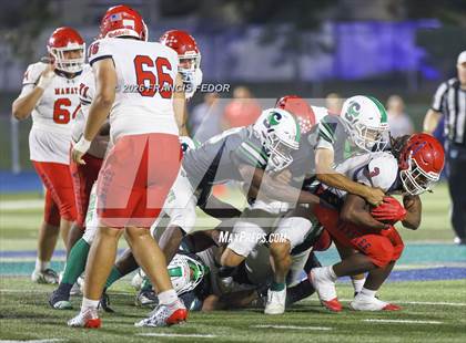 Thumbnail 1 in Manatee @ Sumner photogallery.