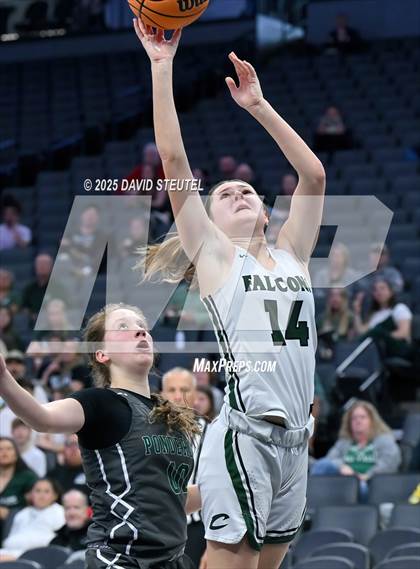 Thumbnail 1 in Ponderosa vs. Colfax (CIF SJS D3 Final) photogallery.