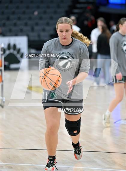 Thumbnail 2 in Ponderosa vs. Colfax (CIF SJS D3 Final) photogallery.