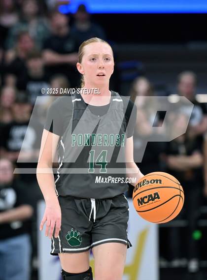 Thumbnail 2 in Ponderosa vs. Colfax (CIF SJS D3 Final) photogallery.