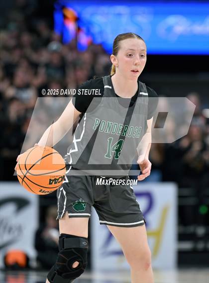 Thumbnail 3 in Ponderosa vs. Colfax (CIF SJS D3 Final) photogallery.