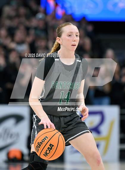 Thumbnail 2 in Ponderosa vs. Colfax (CIF SJS D3 Final) photogallery.