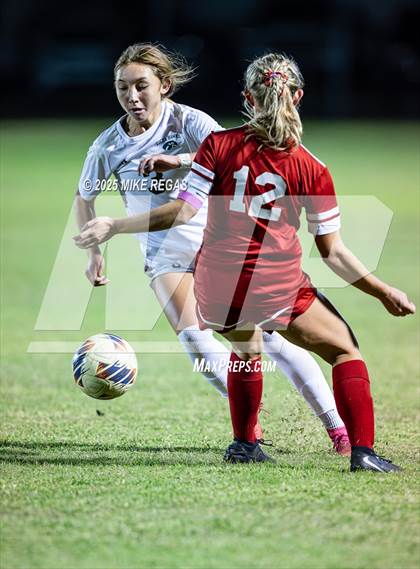 Thumbnail 3 in Viera @ Satellite photogallery.